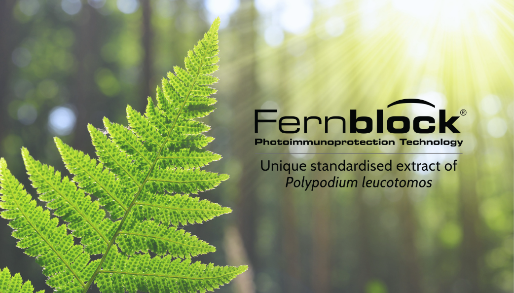 Unveiling the Power of Fernblock Technology